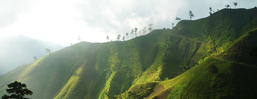 HAITI-900x350