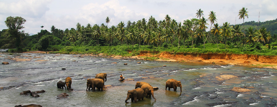 SRILANKA-900x350